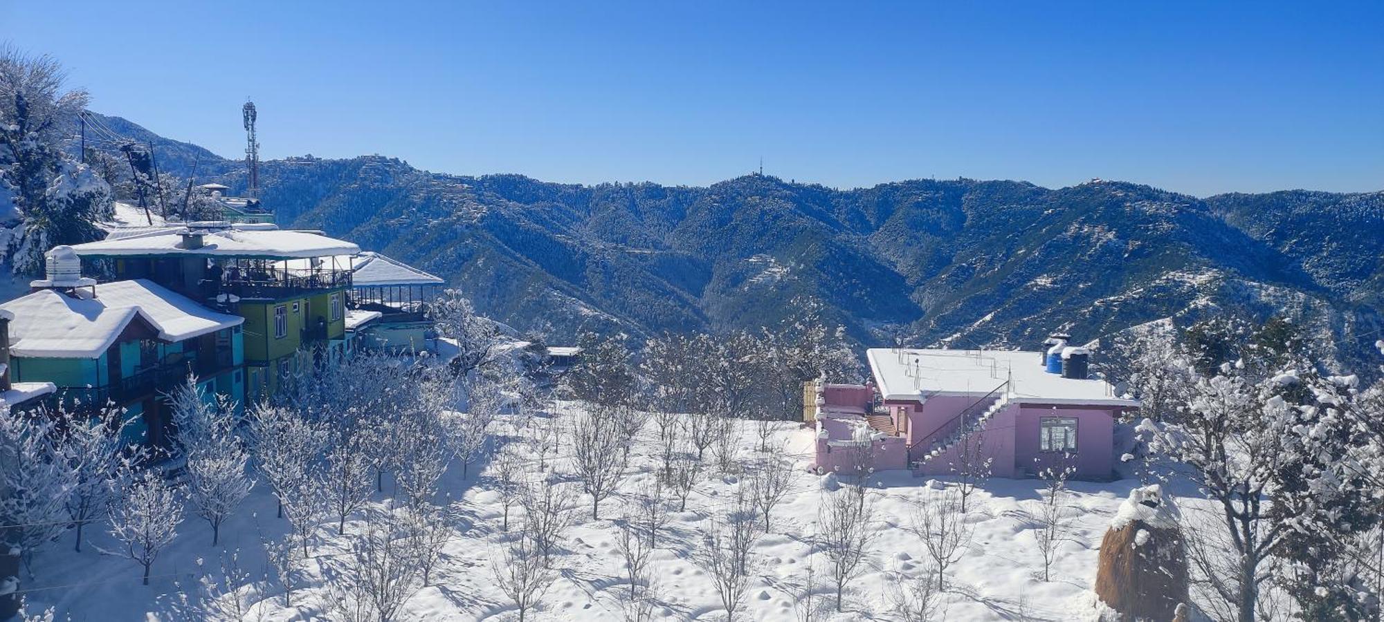Vintage Woods Inn Shimla Esterno foto